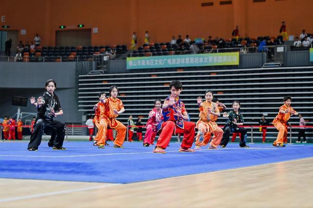 佛山市南海, 武术的兴趣 佛山市南海, 武术的兴趣